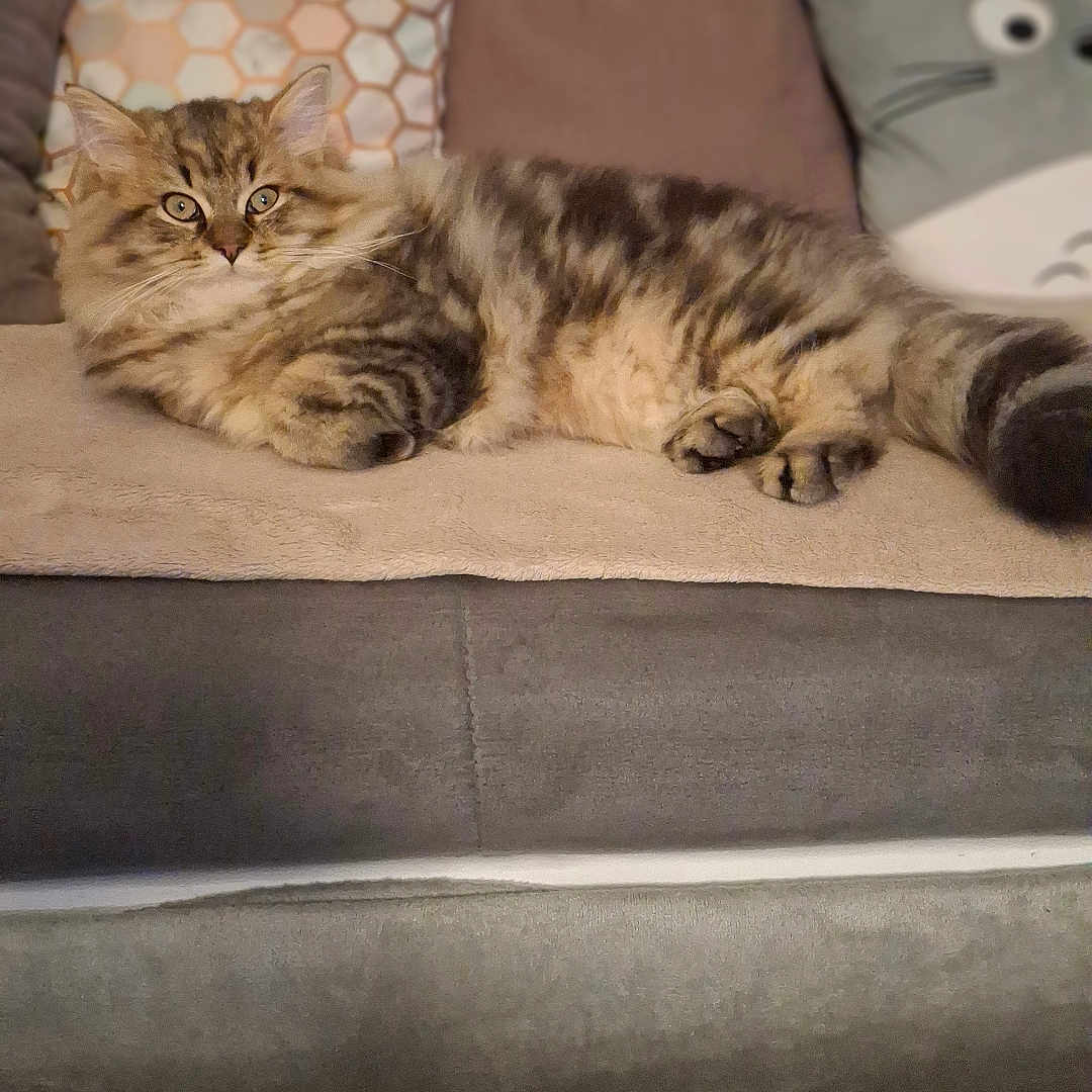 Berlioz