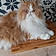 Balthazar