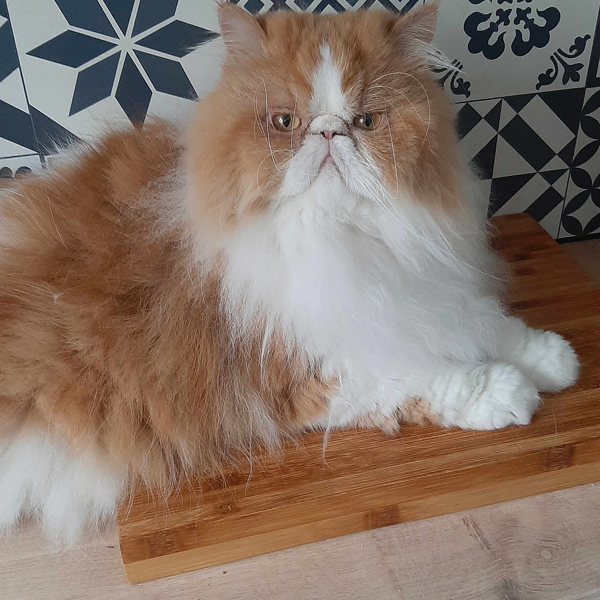 Balthazar