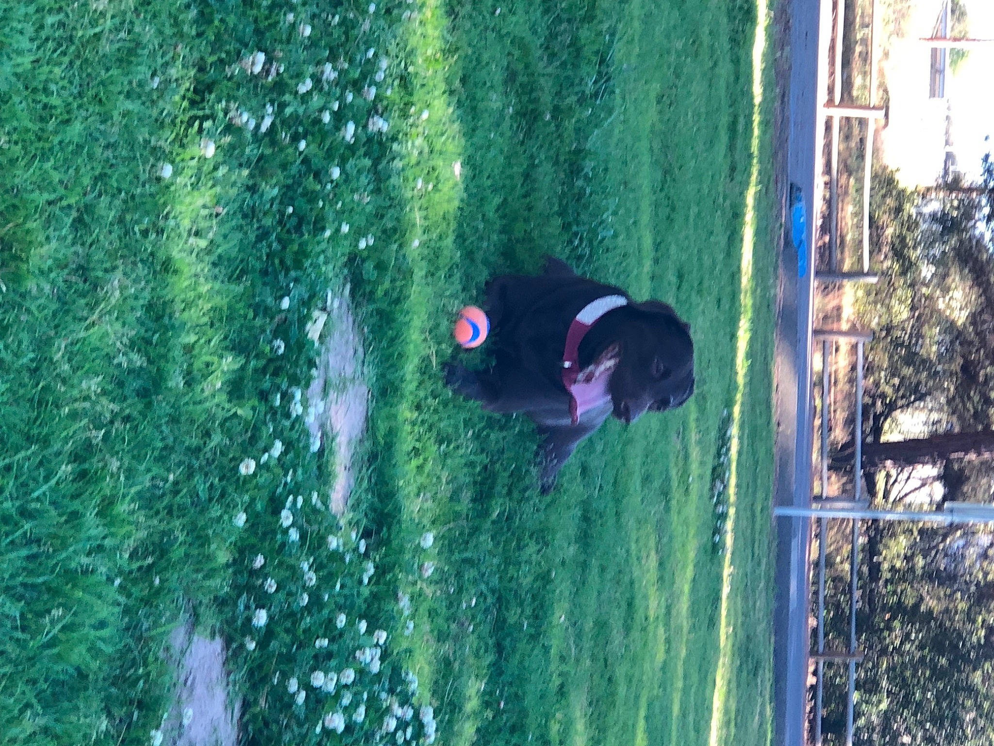 Moira Rose joined the competition — help win amazing prizes! adventure, biome, extreme_sport, fun, garden, grass, landscape, leaf, leisure, organism, plant, recreation, reflection, shadow, shrub, tints_and_shades, tree, trunk, water, window