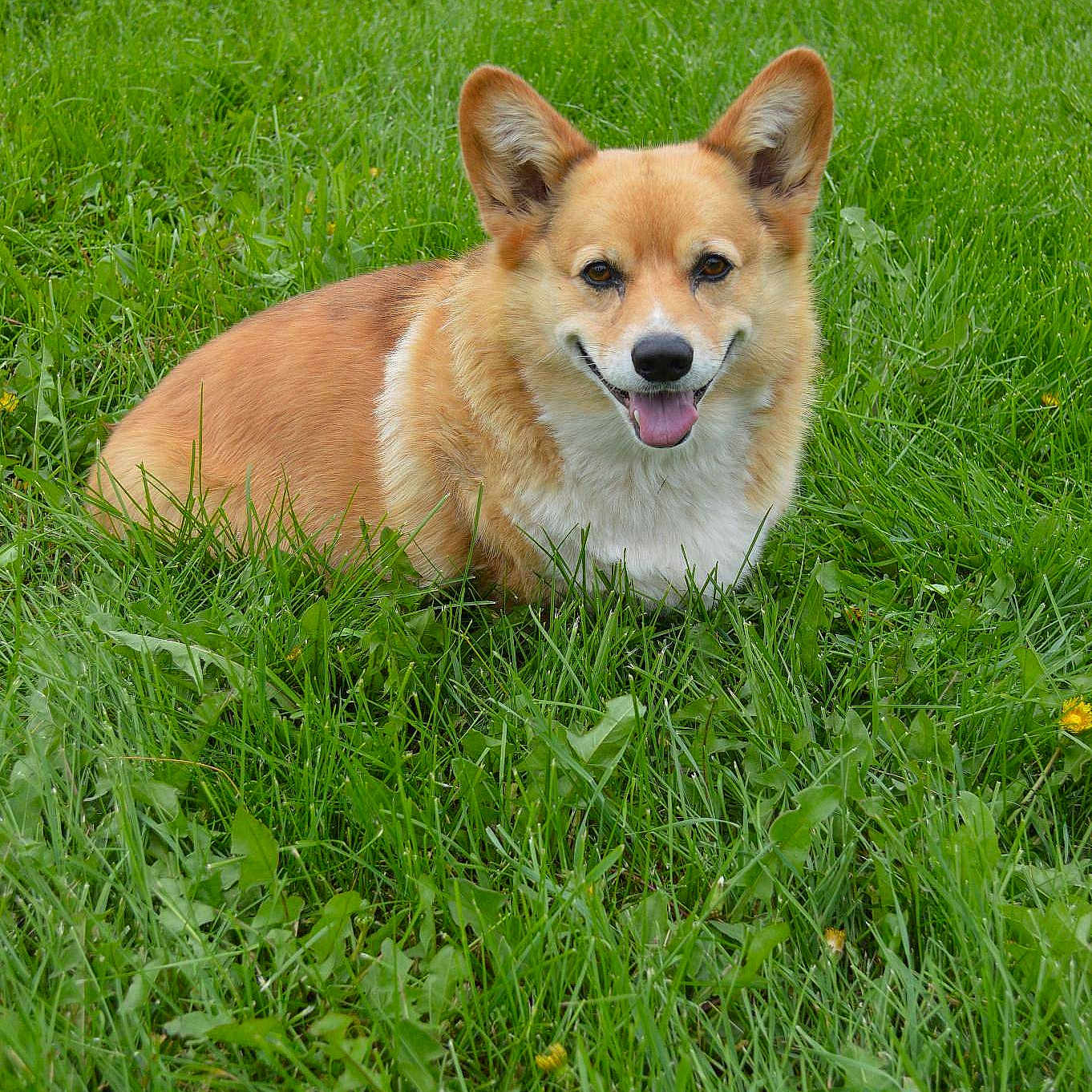 Cayleb Rae is registered to the contest to win money with this photo: