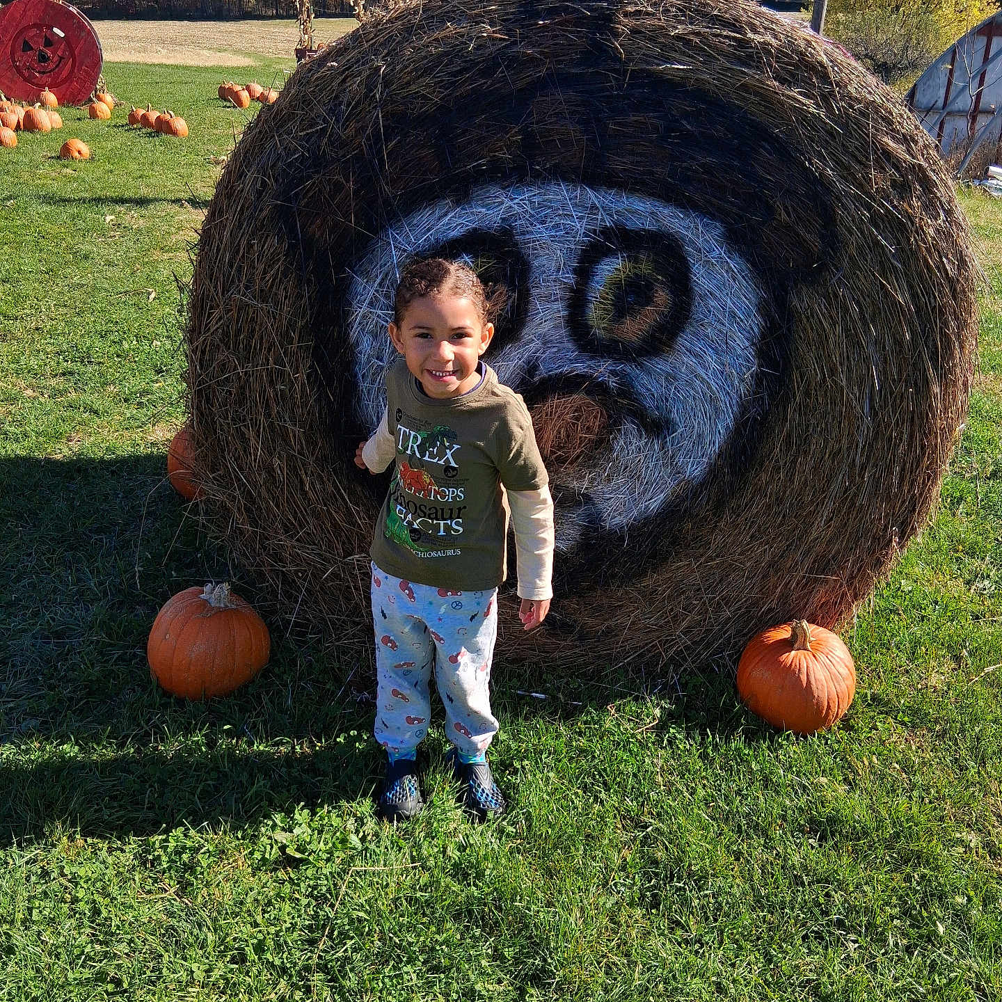 Daelyne is registered to the contest to win money with this photo: child, face_paint, fall, field, grass, hay_bale, holiday, nature, outdoor, pants, playful, pumpkin, scenery, seasonal, shirt, shoes, smile, smiling, sunlight, tree