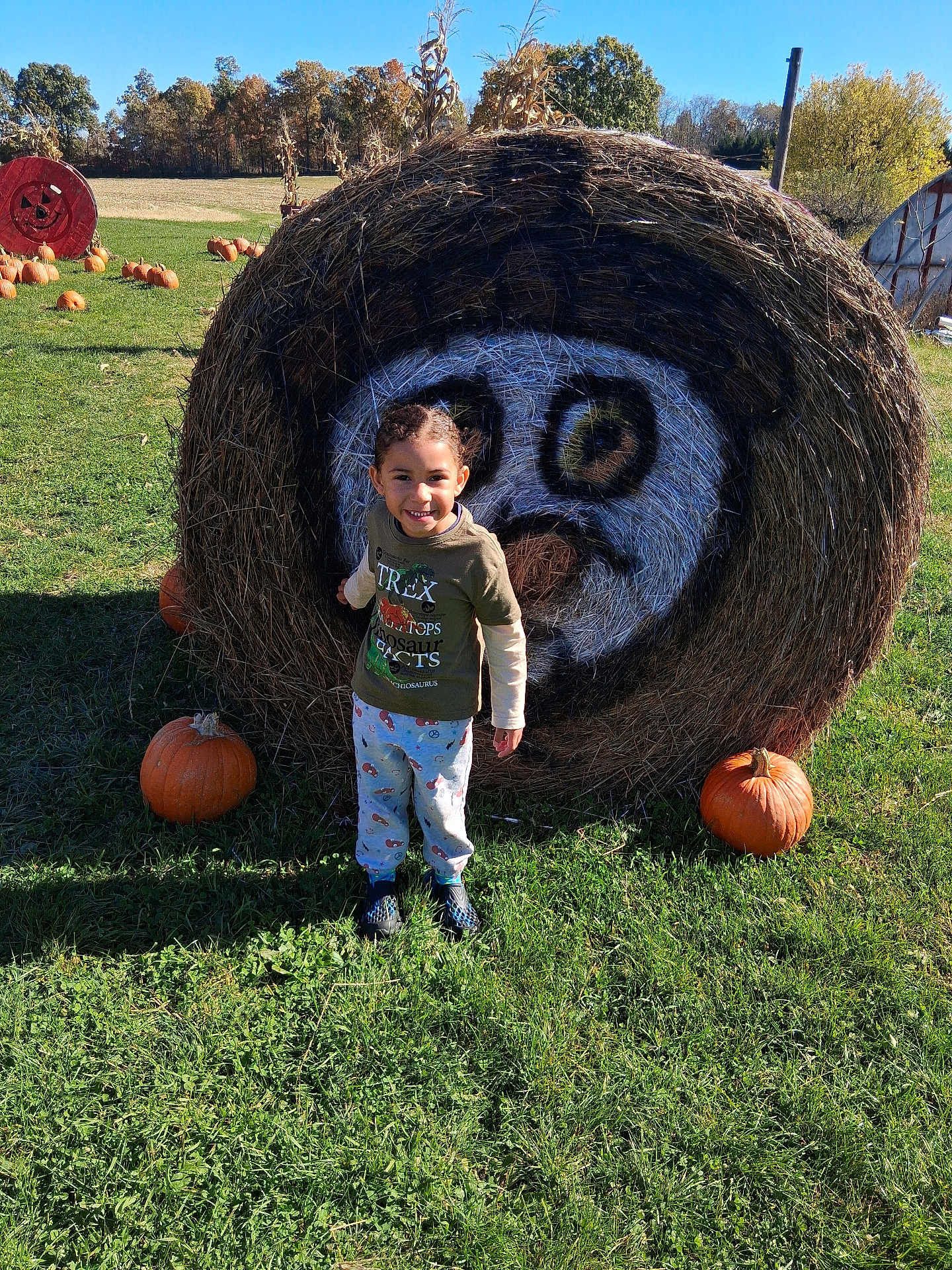 Daelyne is registered to the contest to win money with this photo: child, face_paint, fall, field, grass, hay_bale, holiday, nature, outdoor, pants, playful, pumpkin, scenery, seasonal, shirt, shoes, smile, smiling, sunlight, tree