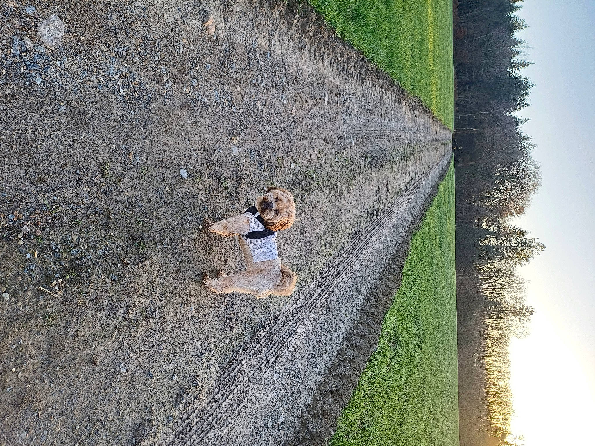 Poupsie a rejoint le concours — aidez-le/la à gagner de superbes lots ! asphalt, concrete, fun, grass, landscape, leisure, people_in_nature, plant, recreation, reflection, reservoir, road_surface, rock, shadow, sky, slope, soil, tree, wall, water