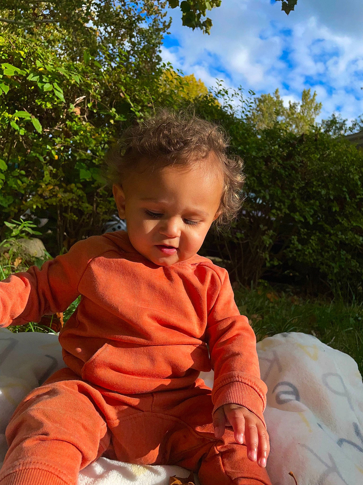 Corey joined the competition — help win amazing prizes! baby, baby_toddler_clothing, botany, child, cloud, fun, grass, happy, lap, leaf, leisure, nature, people_in_nature, person, plant, sitting, sky, summer, toddler, tree