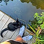 Chauncey is registered to the contest to win money with this photo: black_cat, cat, person, feet, white_socks, white_shoes, wooden_dock, pond, water, plants, greenery, reflection, tree_reflection, outdoor, nature, daylight, animal, pet, curious_cat, calm_water