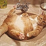 cat, orange_cat, sink, bathroom, relaxed, pet, fur, animal, paw, tail, faucet, soap, shampoo, comb, marble_countertop, domestic_animal, cute, whiskers, indoor, resting