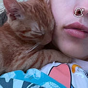 Simba.le.ninja. a rejoint le concours — aidez-le/la à gagner de superbes lots ! cat, person, face, snuggling, ginger_cat, blanket, bedroom, cozy, close_up, sleeping_cat, human, cuddle, comfort, indoor, resting, cute, warm, affection, portrait, relaxation