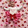 baby, infant, onesie, bow, headband, pink, red, blanket, valentines_day, heart, candy, tutu, leg_warmers, smiling, cute, celebration, love, xoxo, sitting, holiday