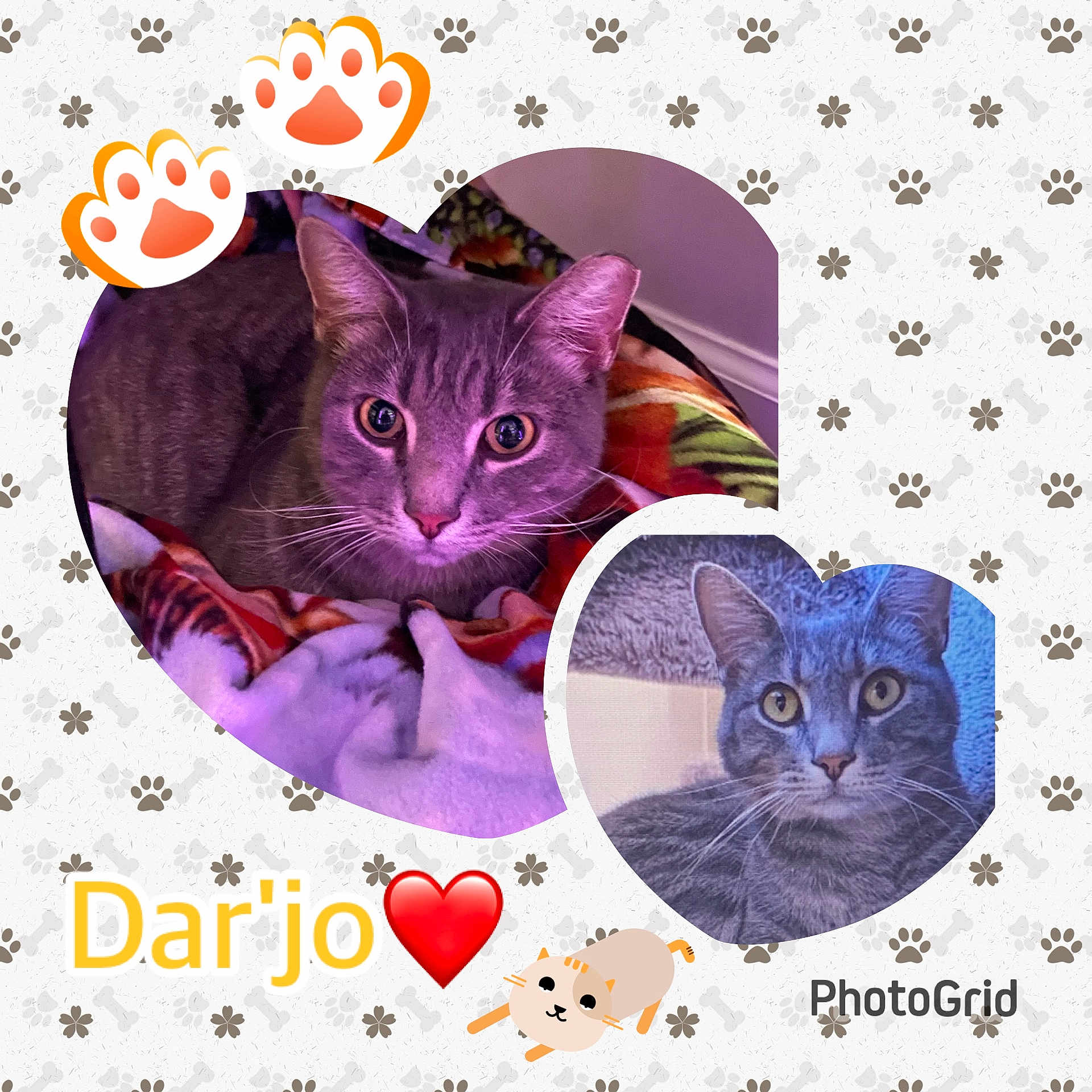 Dar'Jo is registered to the contest to win money with this photo: animal, applique, art, book, cat, collage, comics, envelope, graphics, greetingcard, heart, homedecor, kitten, mail, manx, pattern, pet, publication, purple, quilt