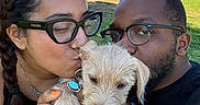 Teddy is registered to the contest to win money with this photo: puppy, dog, people, couple, portrait, selfie, outdoor, grass, trees, parked_cars, recycling_bins, sunglasses, eyeglasses, kiss, affection, fluffy, white_dog, long_hair, smiling, sunny