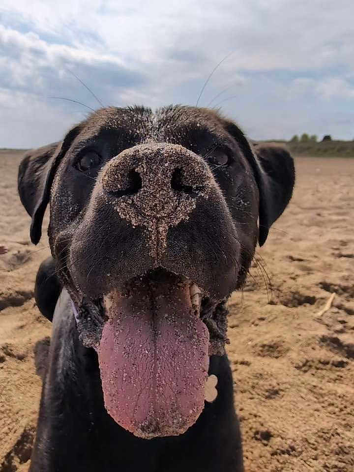 Delilah