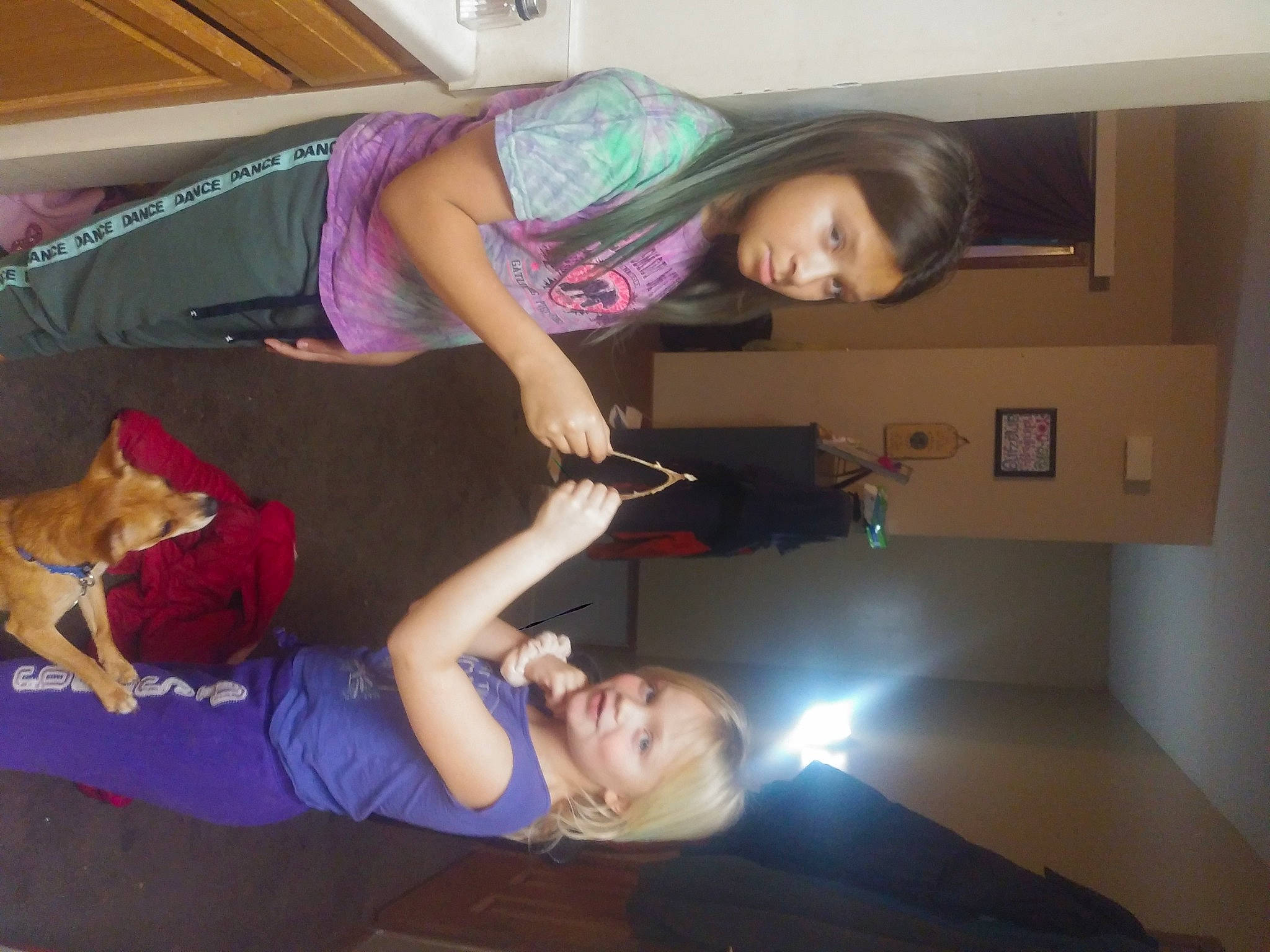 Ashby is registered to the contest to win money with this photo: arm, black_hair, carnivore, comfort, dog, dog_breed, elbow, eye, face, fun, hair, head, home, human, mammal, mouth, nose, person, purple, room