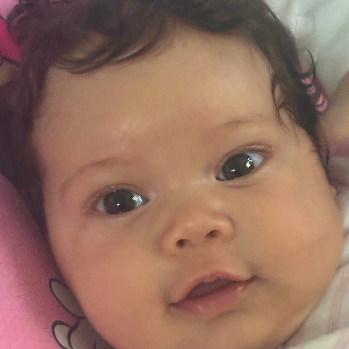 Leah Castane joined the competition — help win amazing prizes! baby, child, closeup, curly_hair, cushion, cute, expression, eyes, face, head, indoors, infant, person, pink, portrait, resting, skin, smile, soft, young