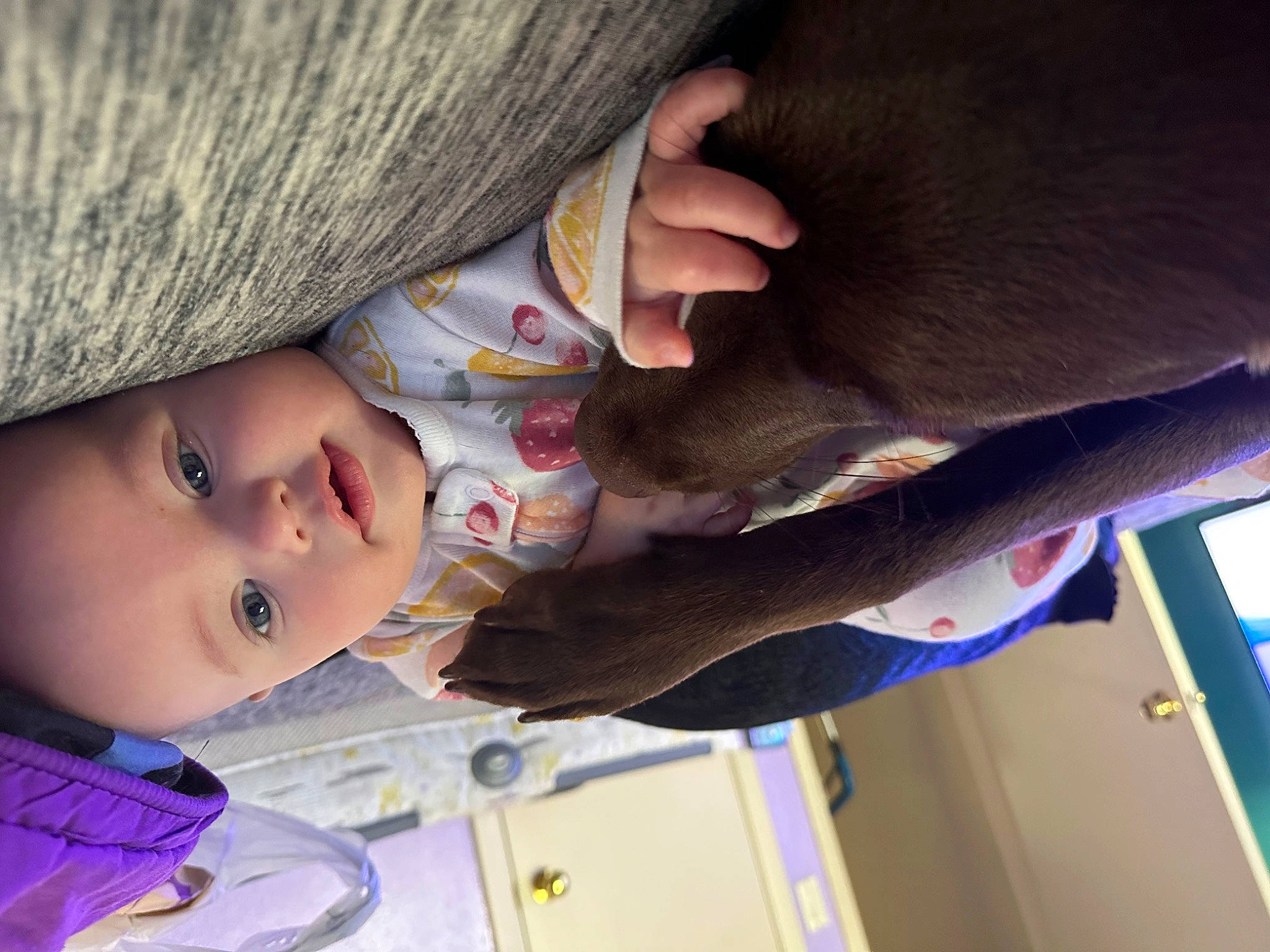 Amara joined the competition — help win amazing prizes! baby, cap, cheek, child, comfort, dog_breed, eyelash, fun, fur, knit_cap, mammal, nose, pattern, person, skin, textile, toddler, vertebrate, wood