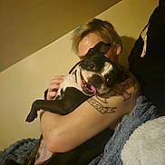 Mr Beefy joined the competition — help win amazing prizes! person, dog, tattoo, indoor, hug, happy, black_and_white_dog, blanket, couch, pet, playful, casual, smile, fur, companion, friendship, relaxation, comfort, animal, portrait