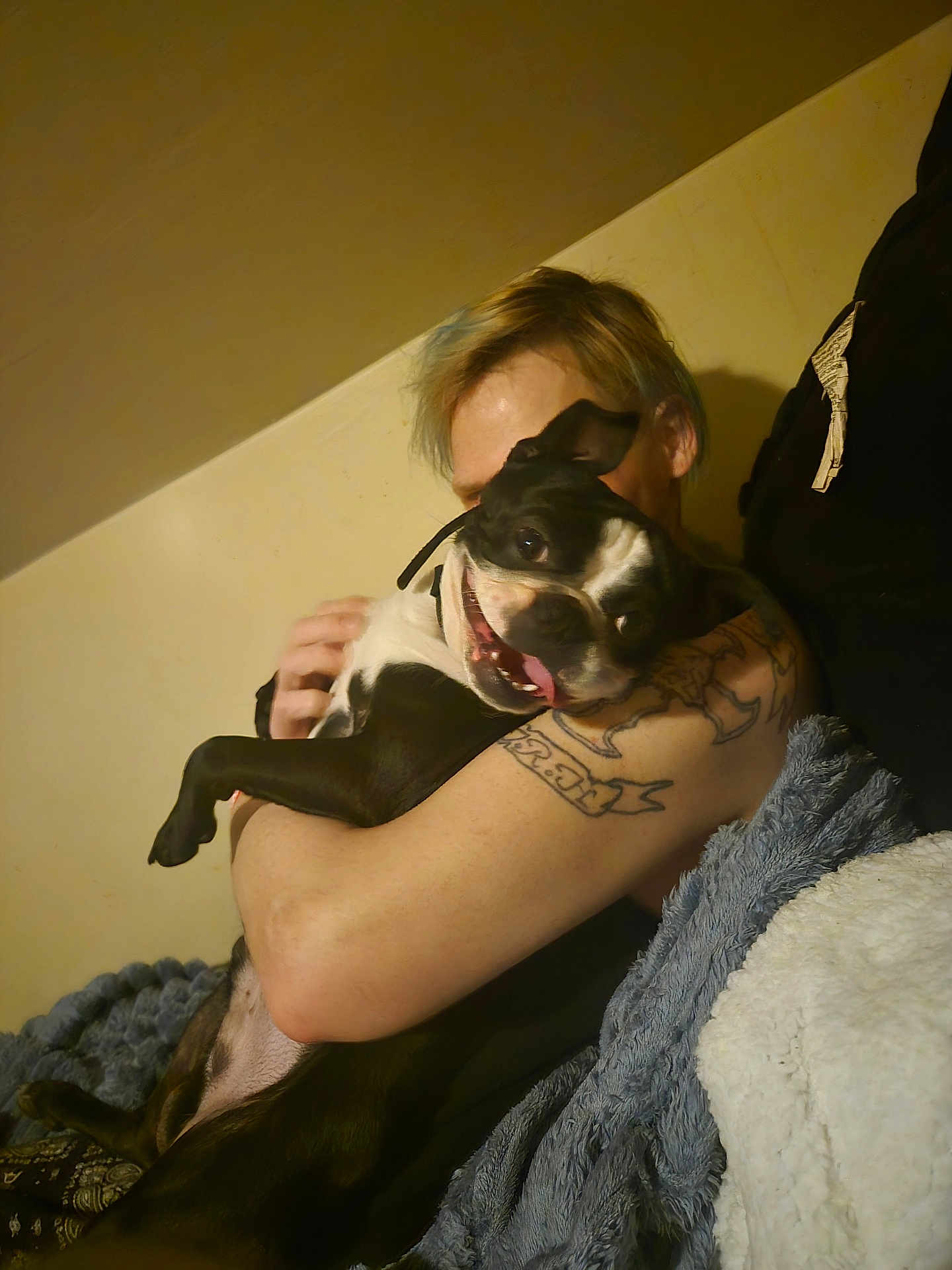 Mr Beefy joined the competition — help win amazing prizes! person, dog, tattoo, indoor, hug, happy, black_and_white_dog, blanket, couch, pet, playful, casual, smile, fur, companion, friendship, relaxation, comfort, animal, portrait