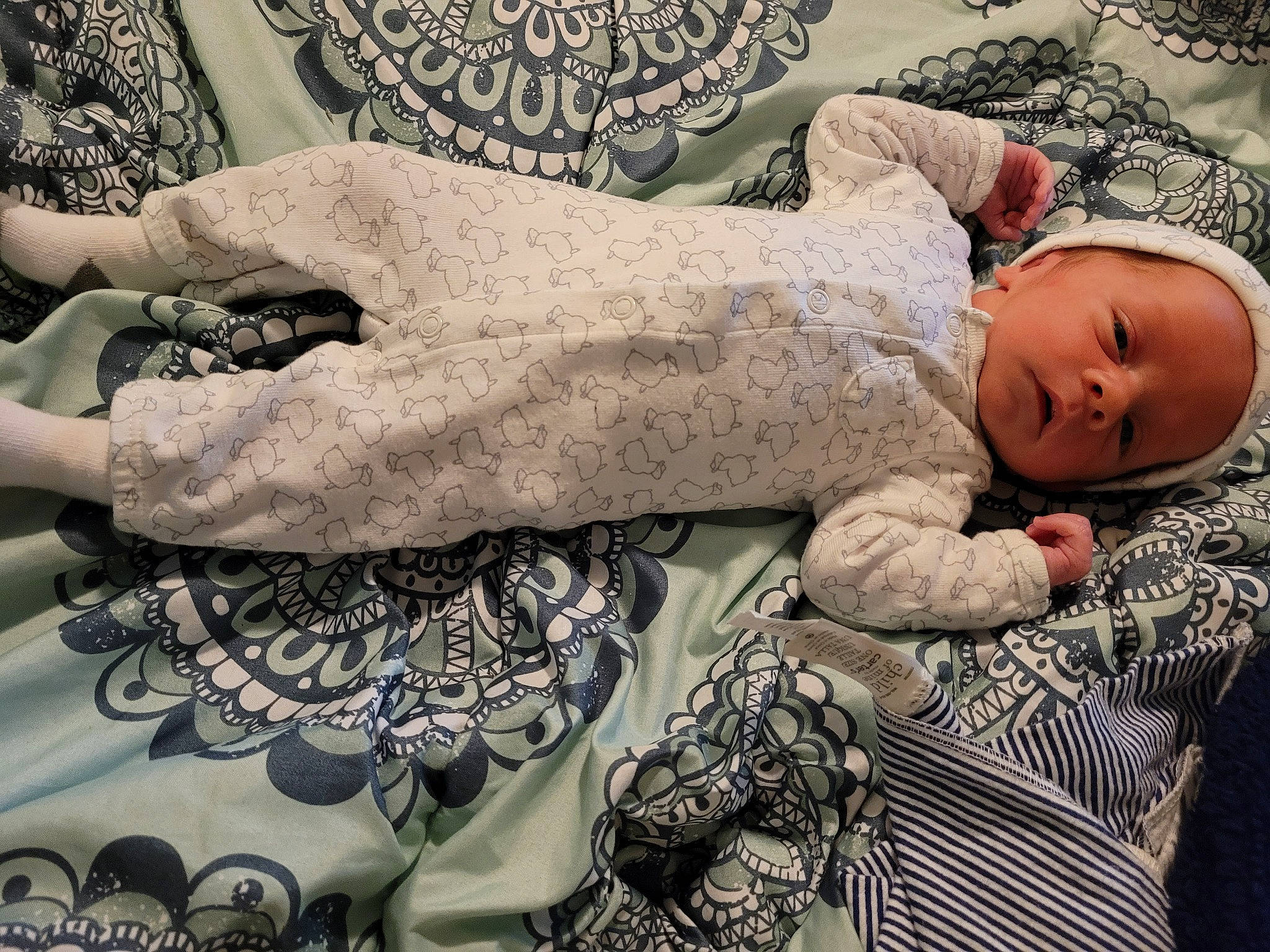 Collins is registered to the contest to win money with this photo: baby, baby_sleeping, baby_toddler_clothing, child, comfort, couch, eye, fashion_design, gesture, happy, human_body, human_leg, linens, pattern, person, sitting, skin, sleeve, textile, thigh