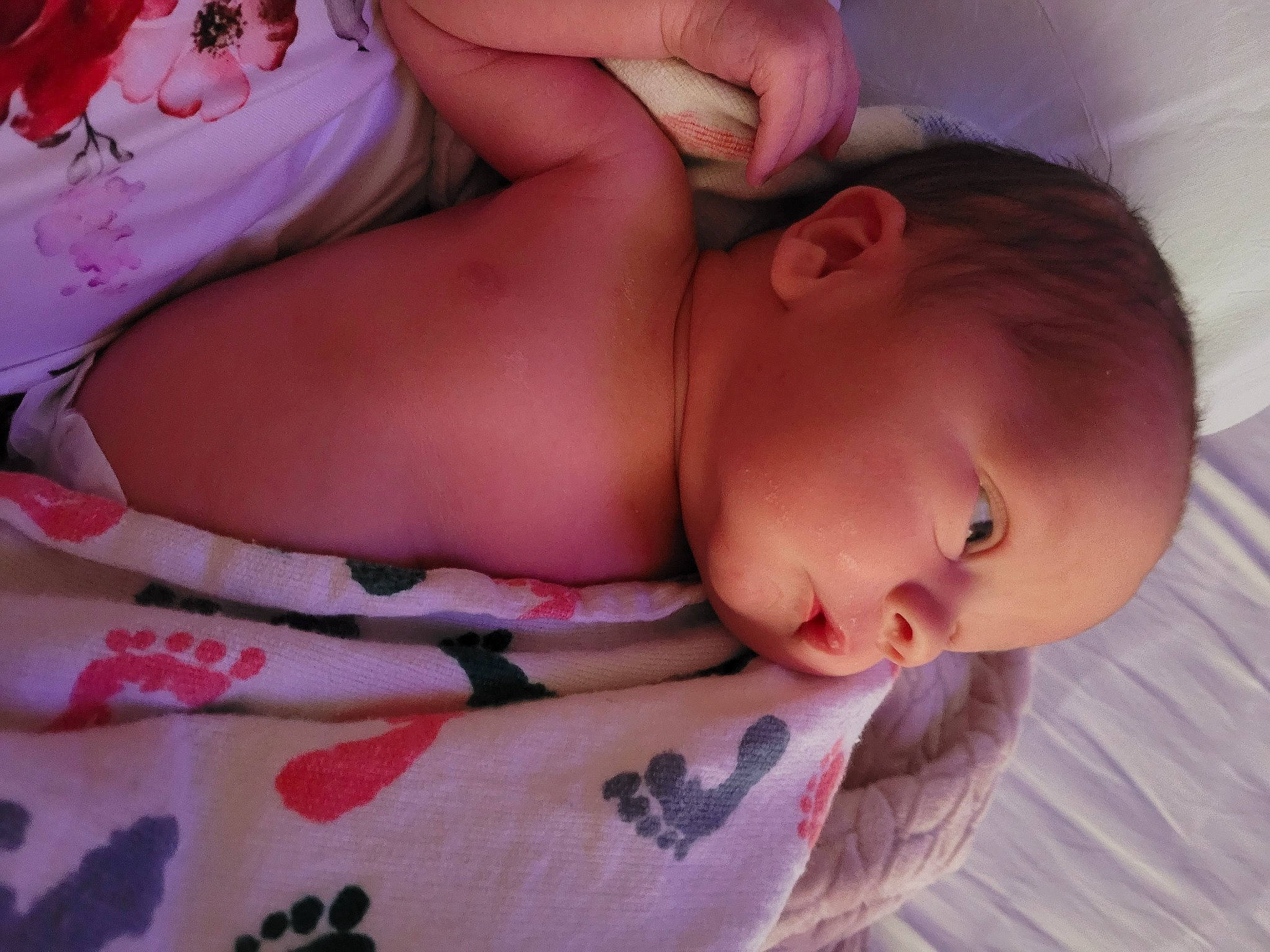 Collins joined the competition — help win amazing prizes! arm, baby, cheek, comfort, eyebrow, eyelash, face, finger, hand, human, lip, mouth, muscle, neck, nose, organ, person, pink, skin, stomach