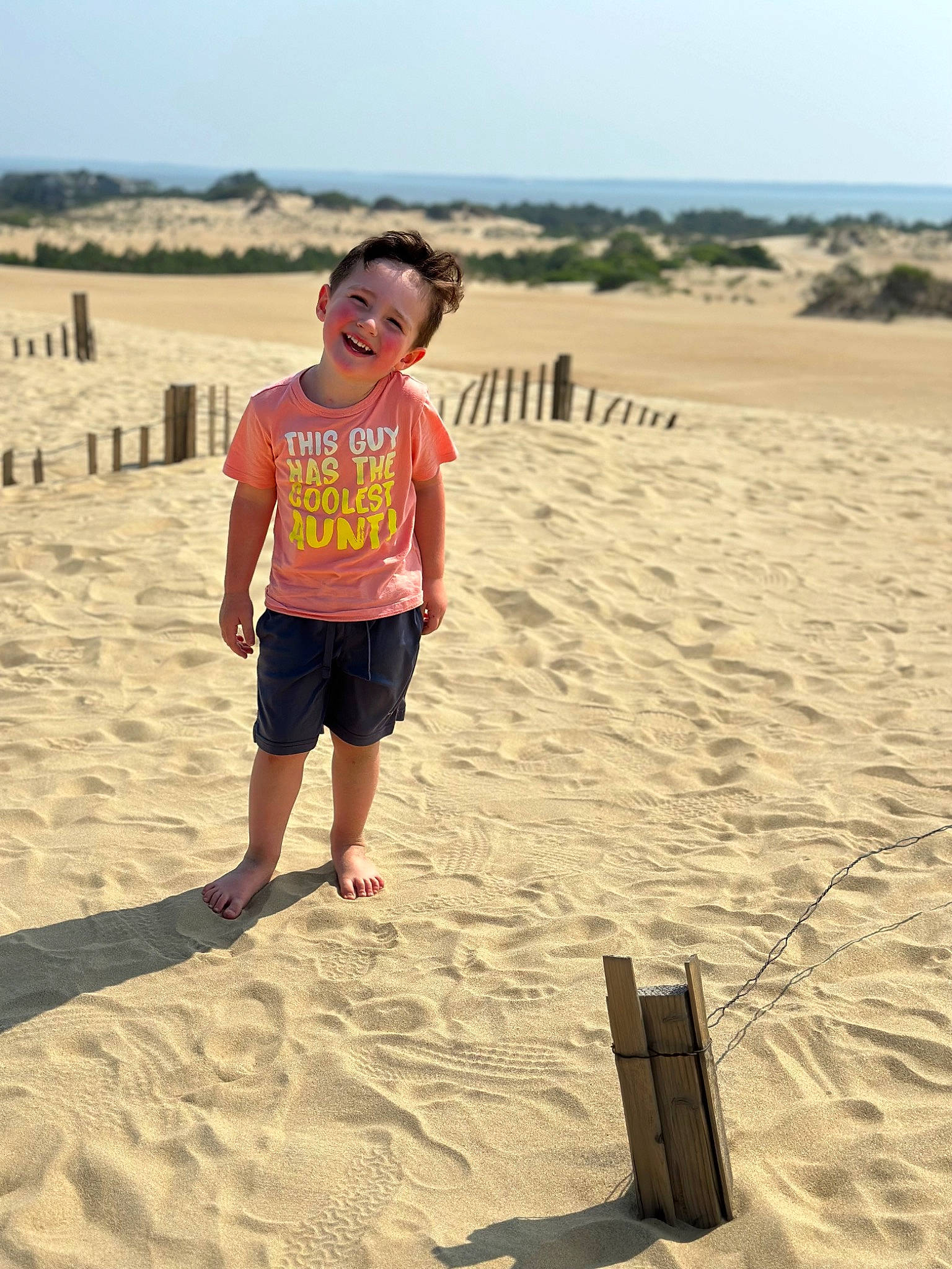 Kyson is registered to the contest to win money with this photo: aeolian_landform, beach, body_of_water, cloud, ecoregion, fun, happy, head, horizon, joy, landscape, mammal, morning, natural_environment, people_in_nature, person, shorts, sky, summer, t_shirt