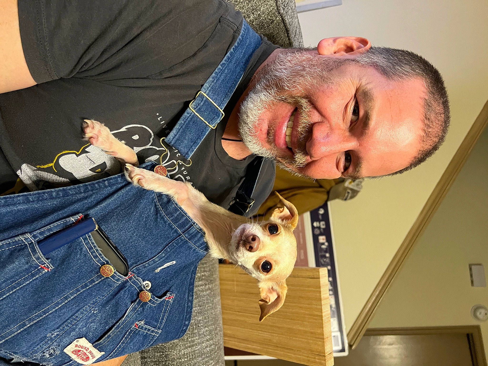 Dobby joined the competition — help win amazing prizes! bag, beard, button, carnivore, companion_dog, denim, dress_shirt, eyewear, facial_hair, fashion_accessory, fur, pattern, plaid, pocket, sleeve, smile, sunglasses, t_shirt, tartan, waist