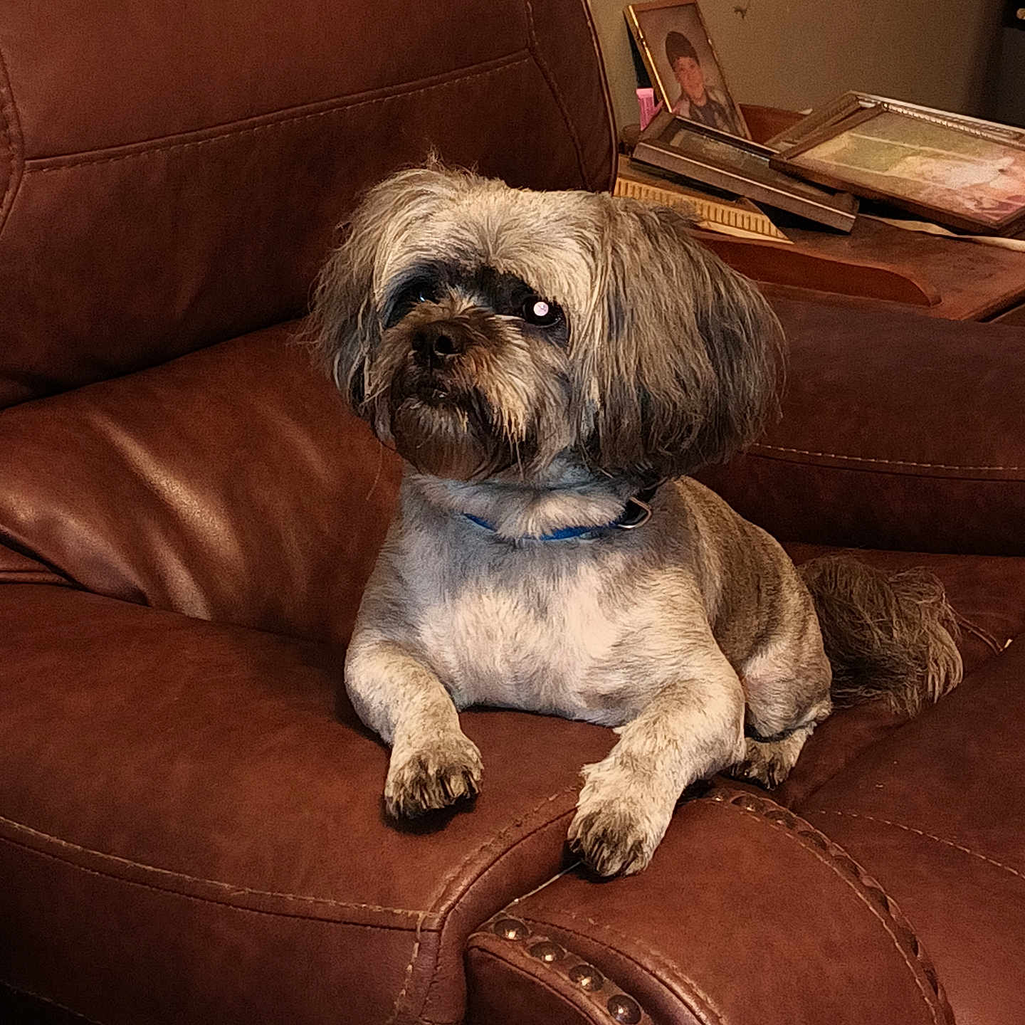 Tater