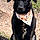 Xena