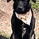 Xena