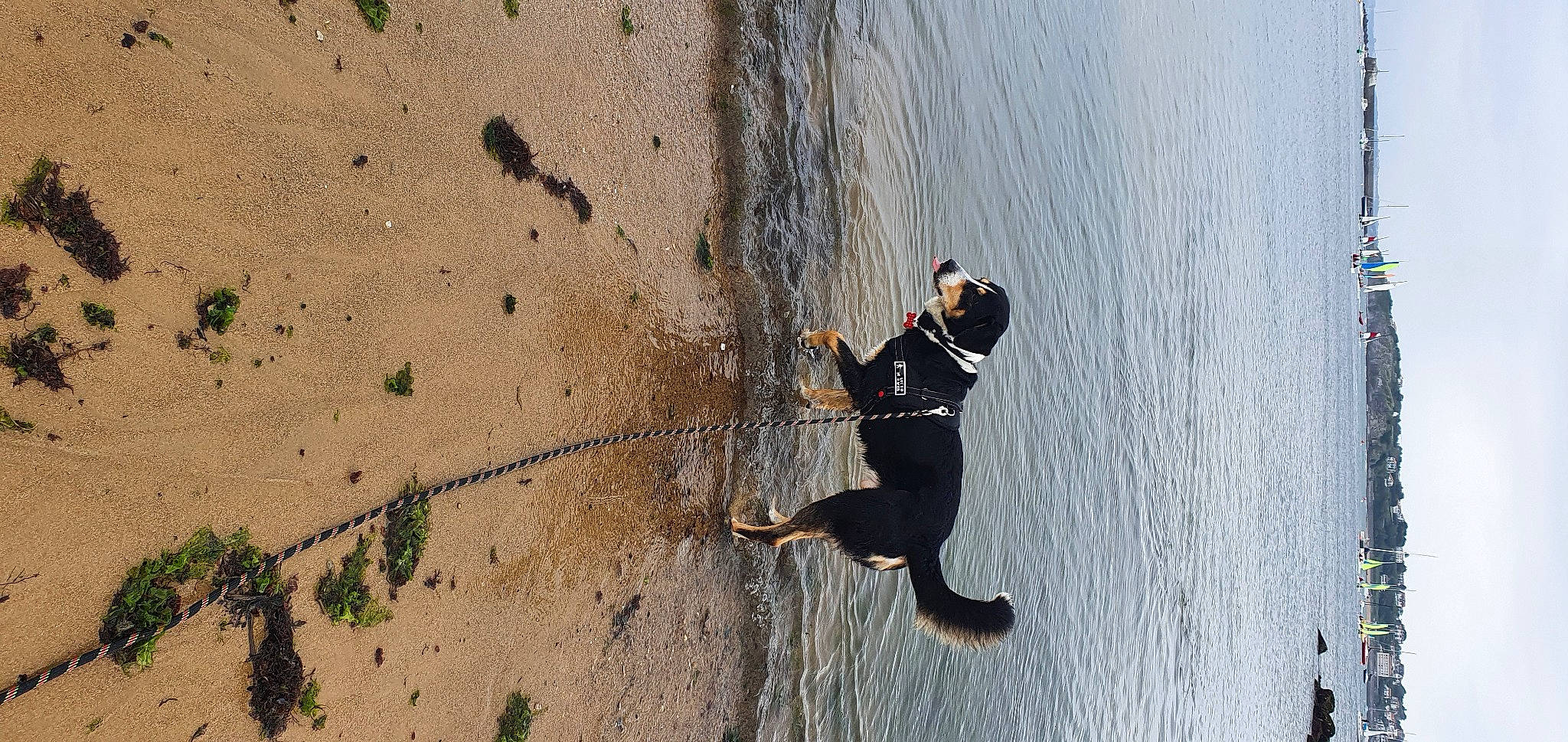 Sunny a rejoint le concours — aidez-le/la à gagner de superbes lots ! adventure, beach, coast, extreme_sport, fun, happy, lake, landscape, leisure, people_in_nature, recreation, rock, shadow, soil, sport_climbing, sports, tree, water, wind_wave, wood