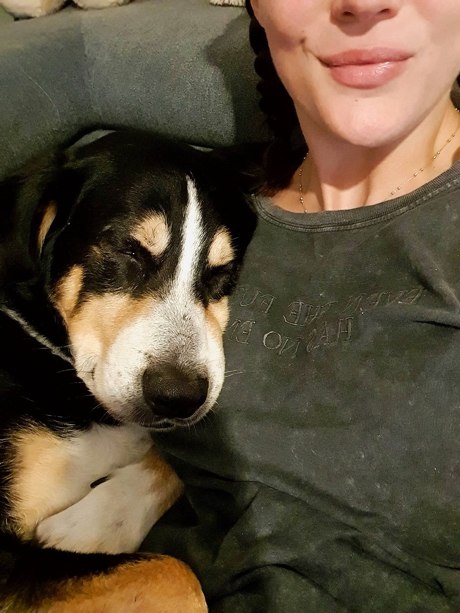 Sunny participe au concours pour gagner de l'argent avec cette photo : bangs, canidae, carnivore, companion_dog, dog, dog_breed, eyewear, fur, jewellery, necklace, paw, puppy_love, sleeve, sporting_group, street_fashion, sunglasses, t_shirt, vision_care, whiskers, working_animal