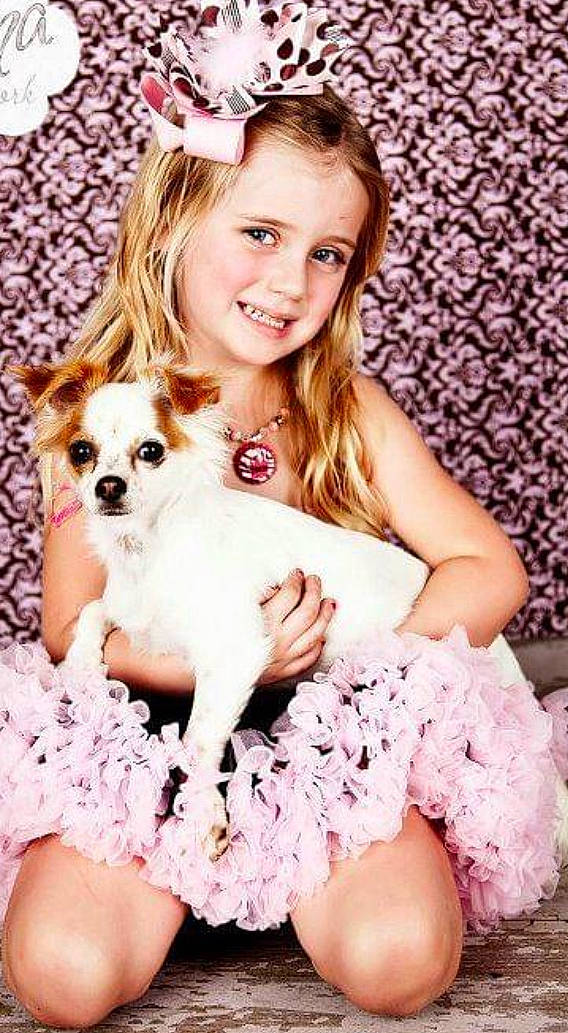 Trixy is registered to the contest to win money with this photo: beauty, blond, brown_hair, carnivore, chihuahua, companion_dog, dog, dog_breed, dog_supply, fawn, flash_photography, fur, happy, pattern, pink, sitting, skin, smile, toy, toy_dog