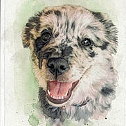 Cissy joined the competition — help win amazing prizes! animal, art, artistic, background, canine, colorful, cute, dog, expression, face, friendly, fur, happy, illustration, paint_splatter, painting, pet, portrait, smiling, watercolor
