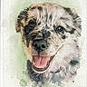 animal, art, artistic, background, canine, colorful, cute, dog, expression, face, friendly, fur, happy, illustration, paint_splatter, painting, pet, portrait, smiling, watercolor
