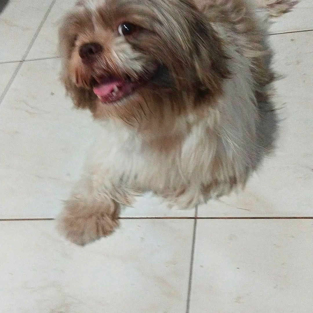 Yuki