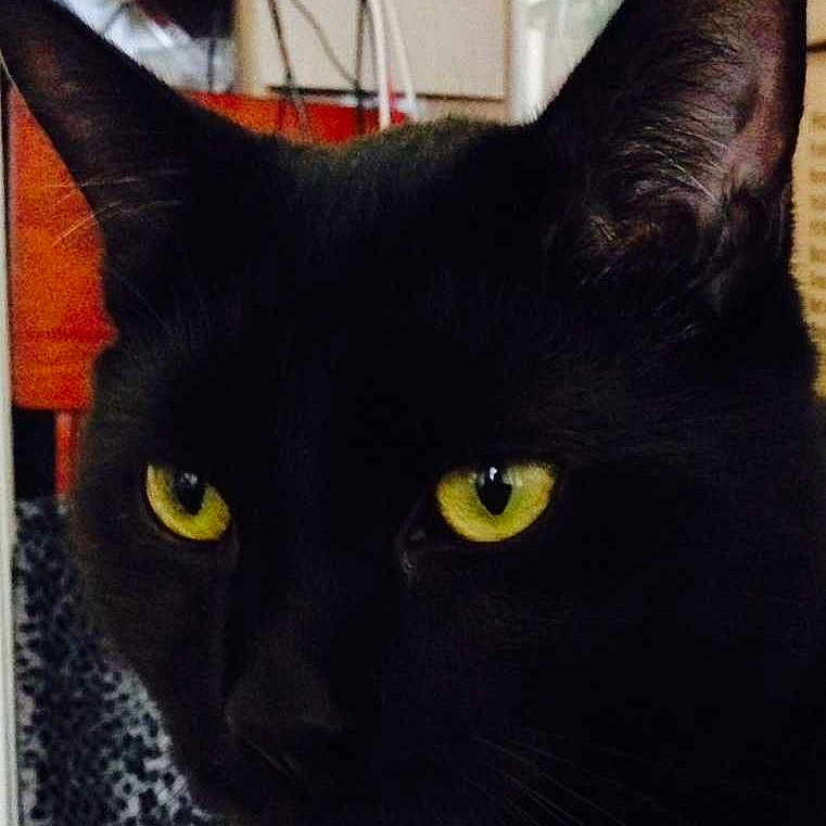 Coco