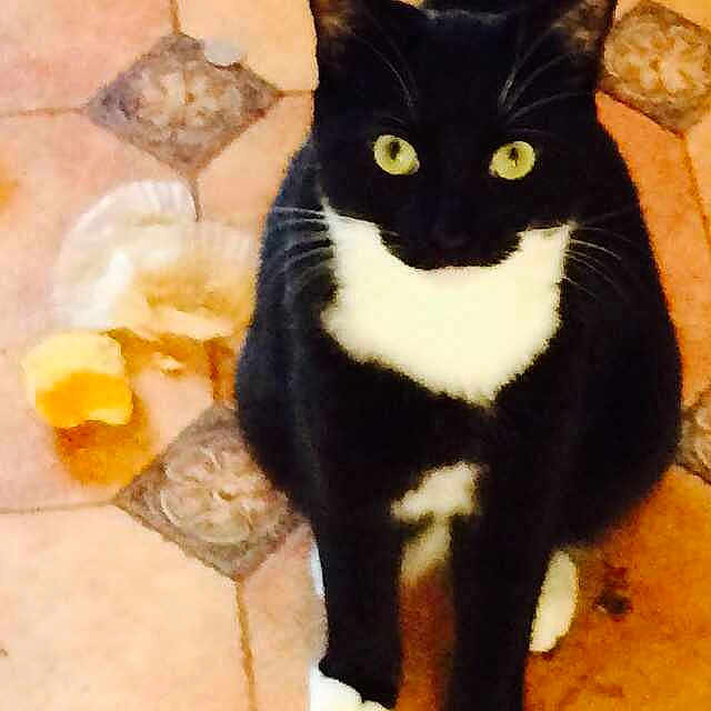 Smudge