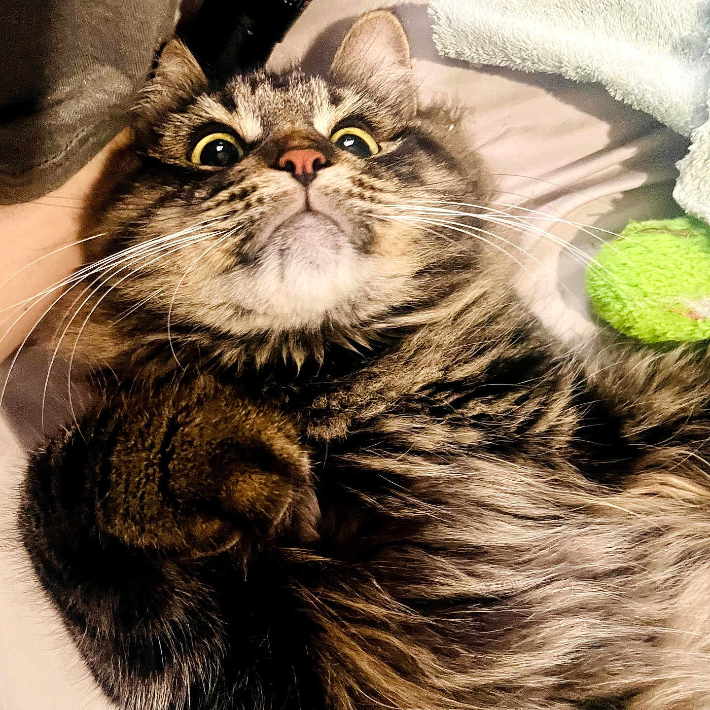 Fluffy