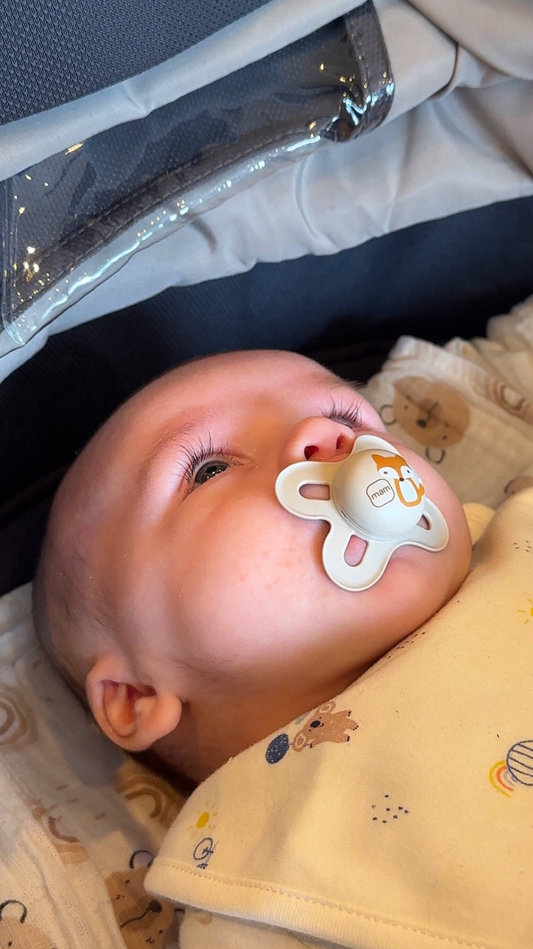 apparel, baby, blanket, child, closeup, comfort, cozy, cute, face, indoor, infant, lying_down, newborn, pacifier, peaceful, portrait, skin, sleeping, soft, young_child