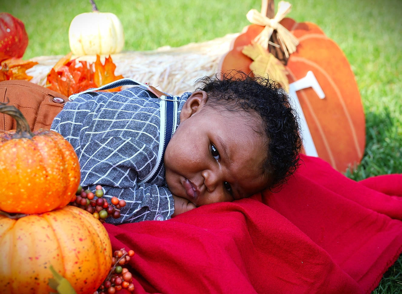 Tyson joined the competition — help win amazing prizes! calabaza, child, cucurbita, eye, facial_expression, fruit, fun, gourd, grass, happy, head, natural_foods, orange, people_in_nature, person, plant, pumpkin, smile, squash, vegetable