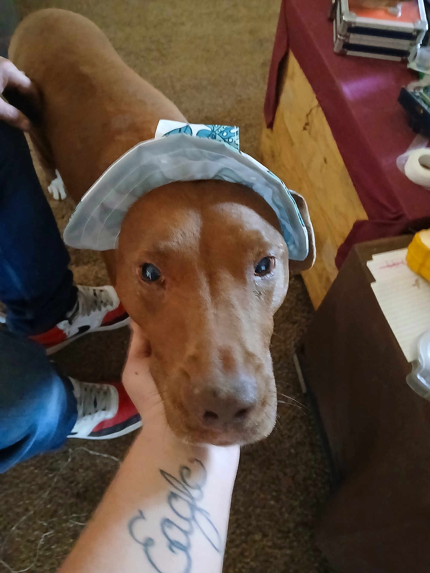 Sox