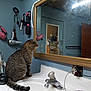 cat, tabby_cat, bathroom, sink, mirror, reflection, hairdryer, hair_brush, blue_wall, clutter, pet, fur, domestic_animal, countertop, plumbing, electrical_outlet, cord, household, indoor, curious