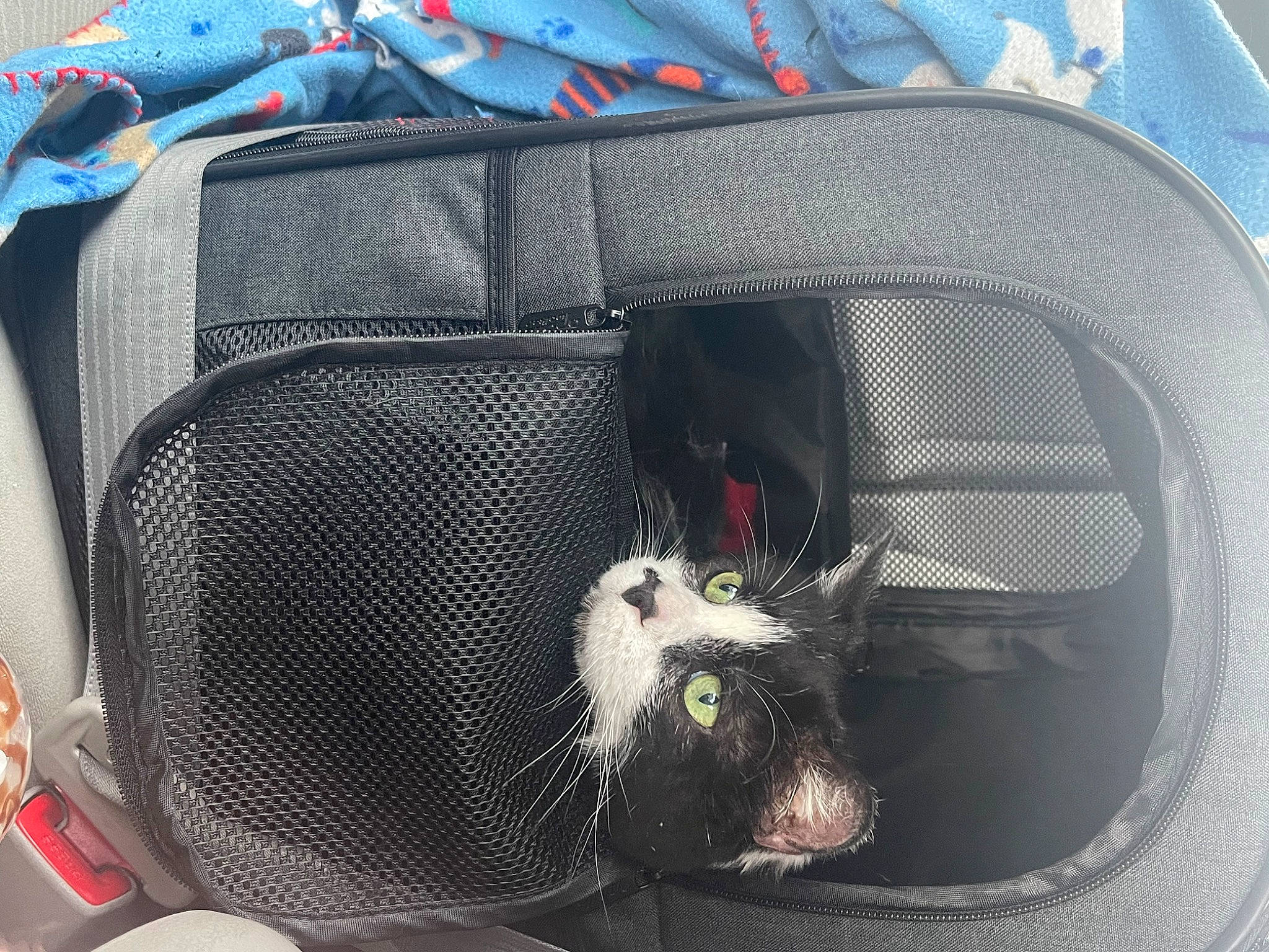 Chase joined the competition — help win amazing prizes! audio_equipment, auto_part, automotive_design, automotive_exterior, automotive_lighting, automotive_tire, automotive_wheel_system, backpack, bag, baggage, bumper, grille, hood, luggage_and_bags, motor_vehicle, product, rim, trunk, vehicle, white