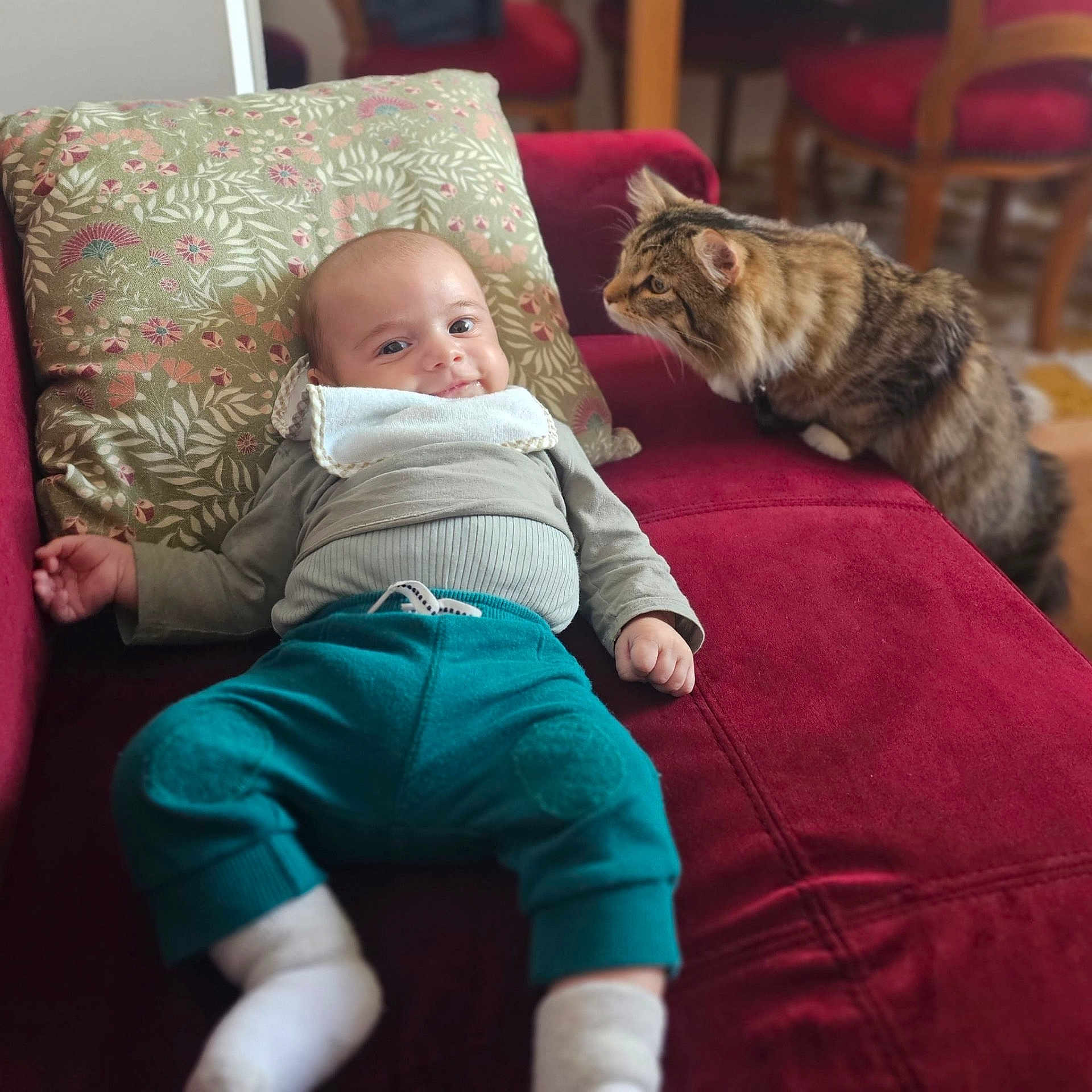Tadej participe au concours pour gagner de l'argent avec cette photo : animal, baby, bib, cat, child, cozy, curious, cute, furniture, home, indoor, infant, pet, pillow, plush, red_couch, relaxed, socks, sofa, teal_pants