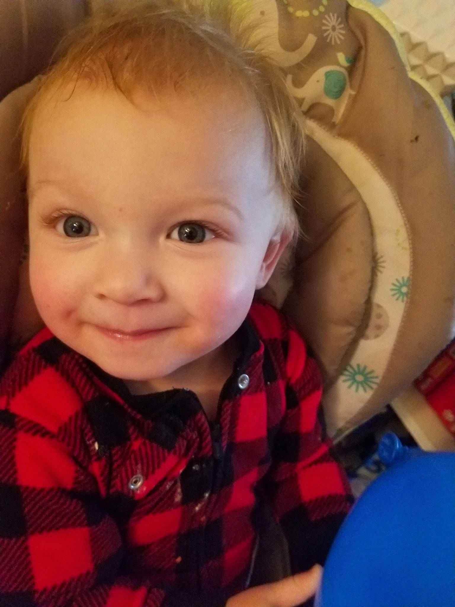 Maverick joined the competition — help win amazing prizes! baby, cheek, child, chin, eye, face, facial_expression, forehead, hair, head, iris, lip, nose, organ, pattern, person, plaid, product, skin, tartan