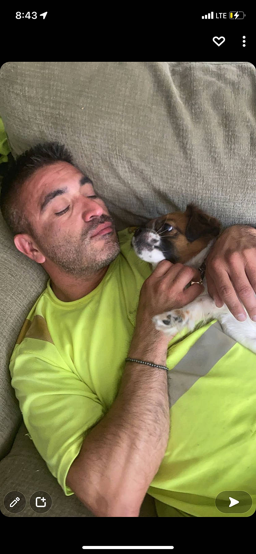 Cardi is registered to the contest to win money with this photo: arm, beard, carnivore, cat, chest, comfort, companion_dog, facial_hair, fawn, felidae, finger, fur, gesture, grass, hand, happy, sitting, small_to_medium_sized_cats, sunglasses, whiskers