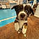 Cooper