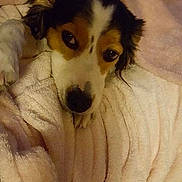 Leffe participe au concours pour gagner de l'argent avec cette photo :