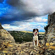 Leffe a rejoint le concours — aidez-le/la à gagner de superbes lots !