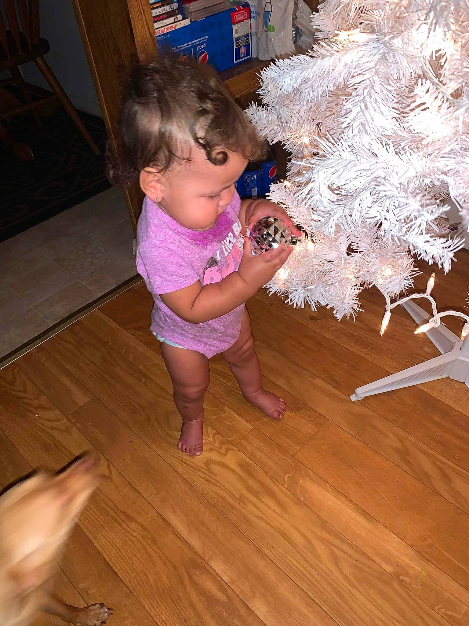 Peyton joined the competition — help win amazing prizes! baby_toddler_clothing, barefoot, child, christmas_tree, conifer, event, floor, flooring, foot, fun, hardwood, holiday, human_leg, laminate_flooring, person, room, toddler, varnish, wood, wood_flooring