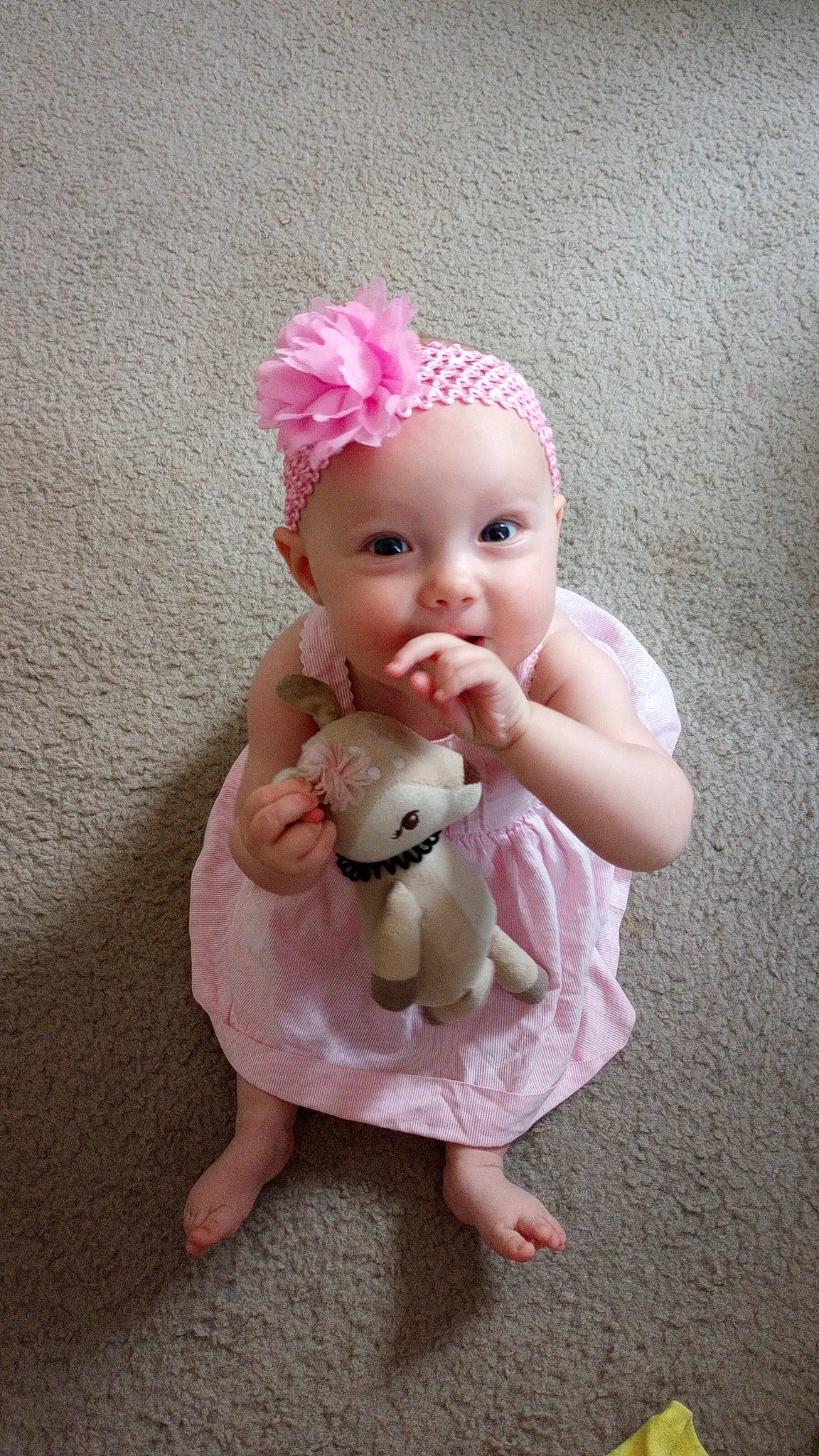 Adaline is registered to the contest to win money with this photo: baby_toddler_clothing, doll, dress, ear, eye, face, fawn, foot, happy, head, headwear, human_body, iris, nail, person, petal, pink, product, skin, thumb